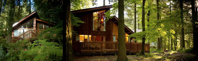 Forest Holidays Review