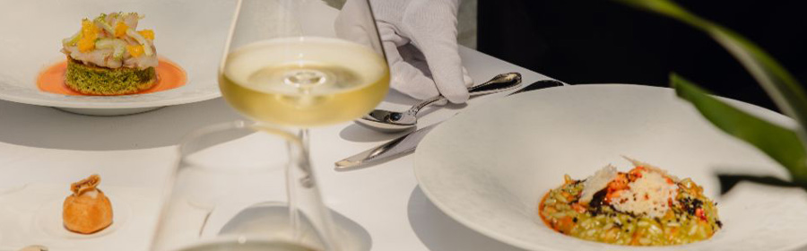 Otočec Castle Restaurant Review