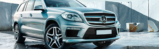 Penguin Limousine Services Review