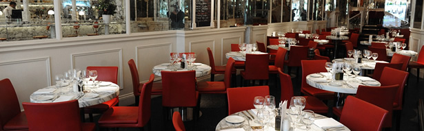 San Carlo, Bristol Review