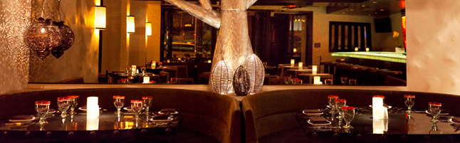 Tortilla Republic Review